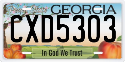 GA license plate CXD5303