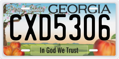 GA license plate CXD5306