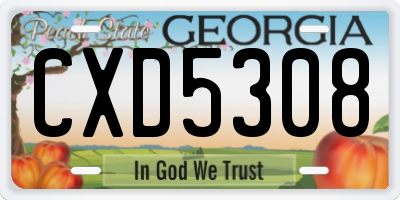 GA license plate CXD5308