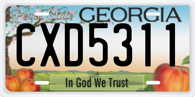 GA license plate CXD5311
