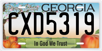 GA license plate CXD5319