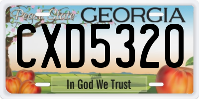 GA license plate CXD5320