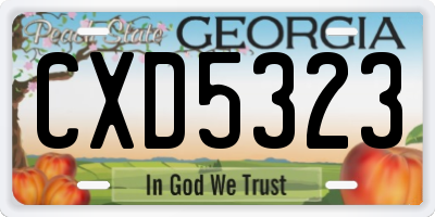 GA license plate CXD5323