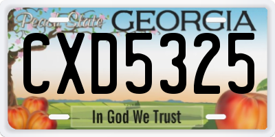GA license plate CXD5325