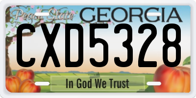 GA license plate CXD5328