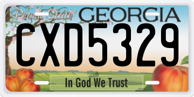 GA license plate CXD5329