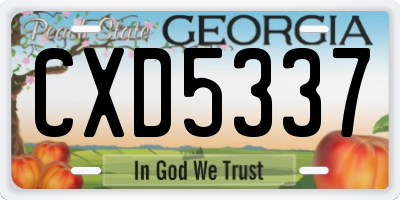 GA license plate CXD5337