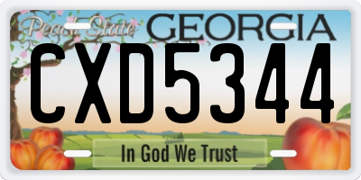 GA license plate CXD5344