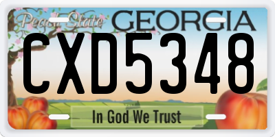 GA license plate CXD5348