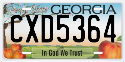 GA license plate CXD5364