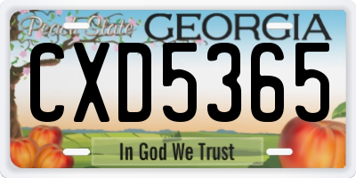 GA license plate CXD5365