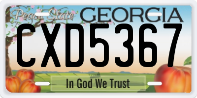 GA license plate CXD5367