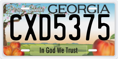 GA license plate CXD5375