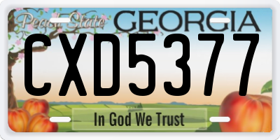 GA license plate CXD5377