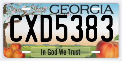 GA license plate CXD5383