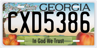 GA license plate CXD5386