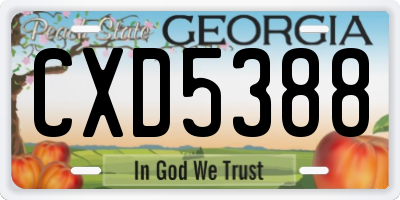GA license plate CXD5388