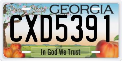 GA license plate CXD5391