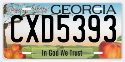 GA license plate CXD5393