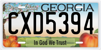 GA license plate CXD5394
