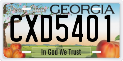 GA license plate CXD5401