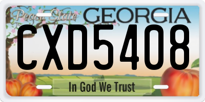 GA license plate CXD5408