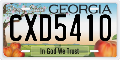 GA license plate CXD5410