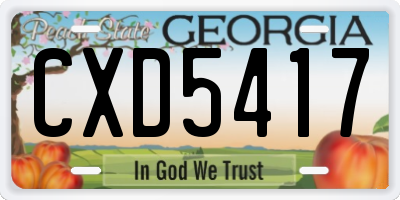 GA license plate CXD5417