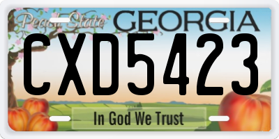 GA license plate CXD5423