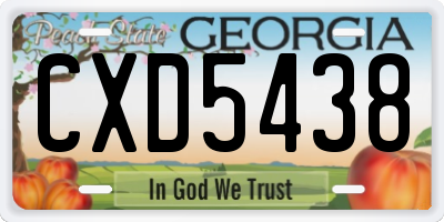 GA license plate CXD5438