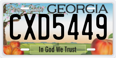 GA license plate CXD5449