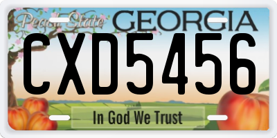 GA license plate CXD5456
