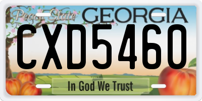 GA license plate CXD5460