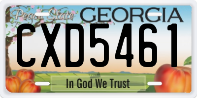 GA license plate CXD5461