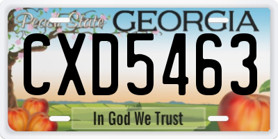 GA license plate CXD5463