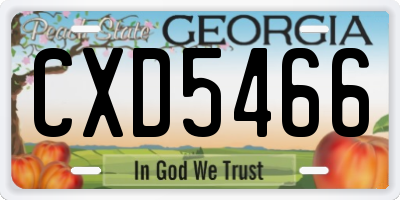 GA license plate CXD5466