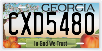GA license plate CXD5480