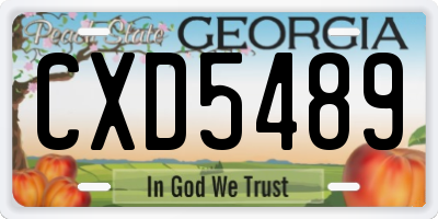 GA license plate CXD5489