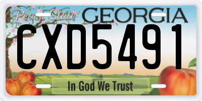 GA license plate CXD5491