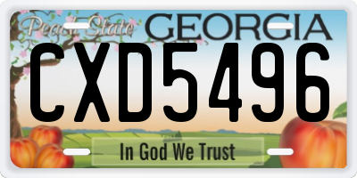 GA license plate CXD5496