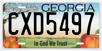 GA license plate CXD5497