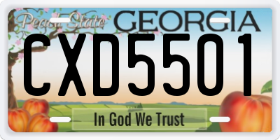 GA license plate CXD5501