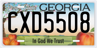 GA license plate CXD5508