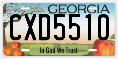 GA license plate CXD5510