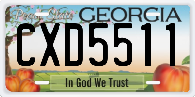 GA license plate CXD5511