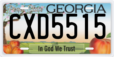 GA license plate CXD5515