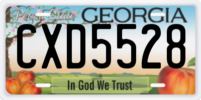 GA license plate CXD5528