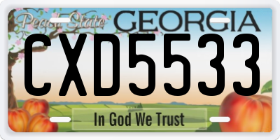 GA license plate CXD5533