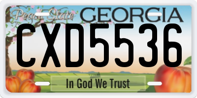 GA license plate CXD5536