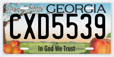 GA license plate CXD5539